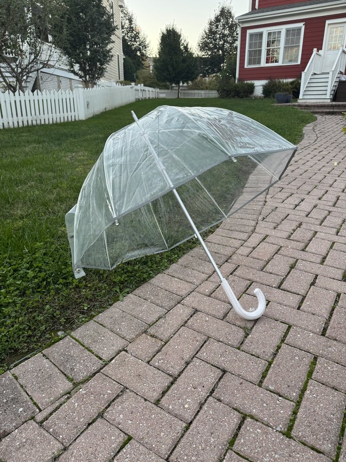 Clear Bubble Umbrella
